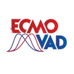 Logo_ecmovad__1_-removebg-preview-300x268-removebg-preview-150x150-1.png